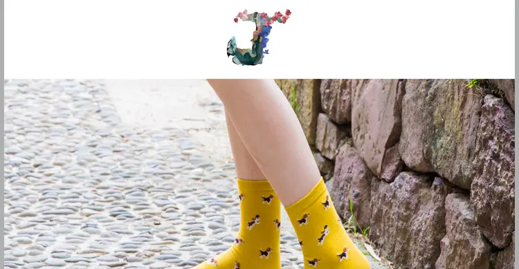 Winter Autumn New Women In Tube Sock Dog Animal Women Socks Fashion Cotton EUR35-40 8