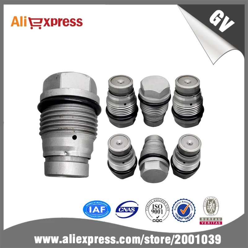 limit pressure valve 1110010028 (3)