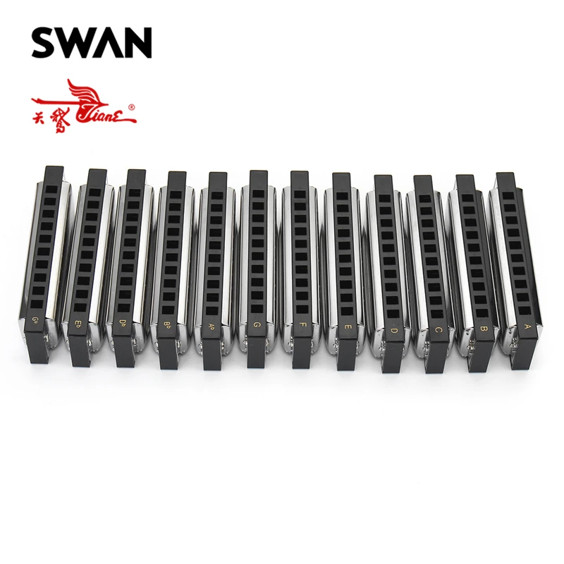 بجعة 12 قطعة/المجموعة 10 الثقوب هارمونيكا مجموعة 12 مفاتيح abcdefg أب bb db eb gb قيثارات مفتاح الآلات الموسيقية سلم موسيقي SW1020-12T بجعة 12 قطعة/المجموعة 10 الثقوب هارمونيكا مجموعة 12 مفاتيح abcdefg أب bb db eb gb قيثارات مفتاح الآلات الموسيقية سلم موسيقي SW1020-12T