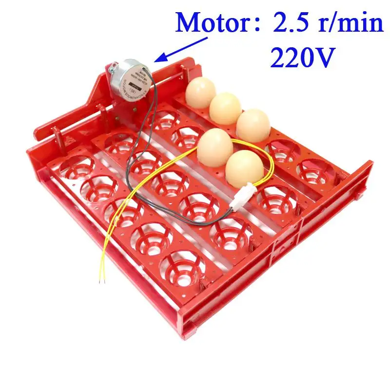 20 яичный инкубатор поворот яиц лоток яичный тестер автоматический инкубатор контроллер экспериментальное обучающее оборудование - Цвет: 220V