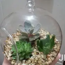 50 шт. Новое поступление боросиликатное стекло висячая ваза и настольная ваза украшение для дома диаметр 8 см прозрачная