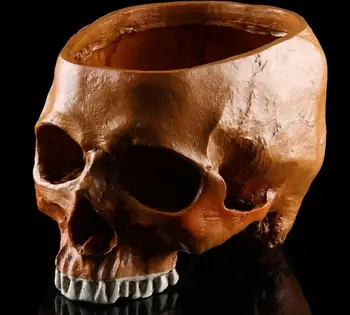 

The family skeleton head resin skeleton head film set stage prop model large flowerpot skull head