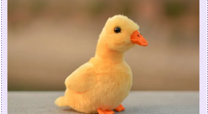 eeee
