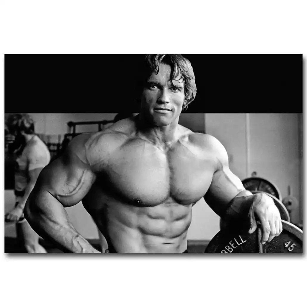 Arnold Schwarzenegger Bodybuilding Motivational Art Silk Poster Images, Photos, Reviews