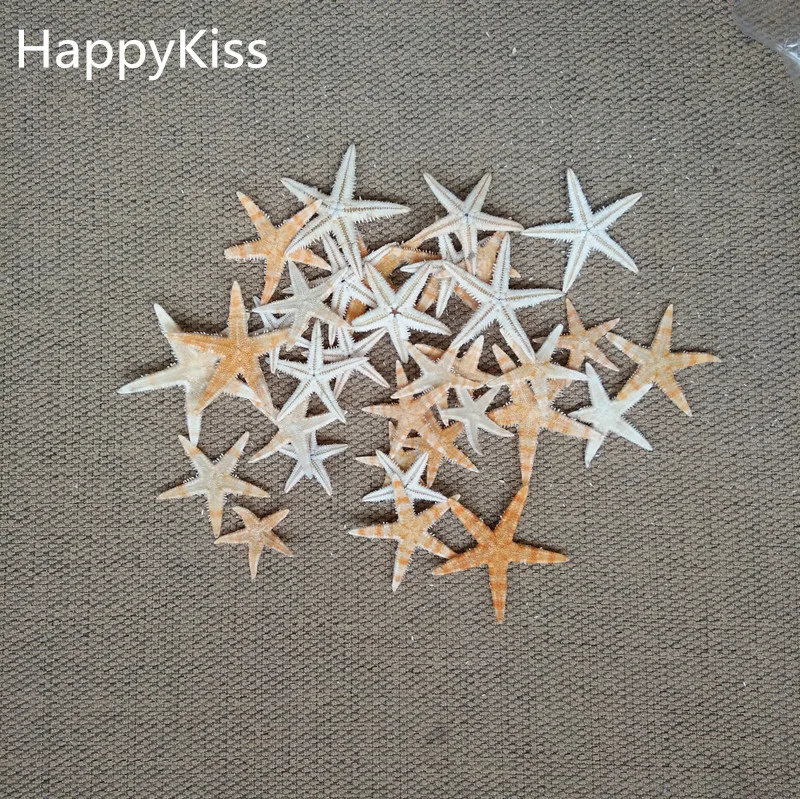 

20pcs/set 1.5-2.0cm Natural Sea Star Ocean Sea Animal Fish For Micro Landscape Terrarium Decorative Ornament Crafts
