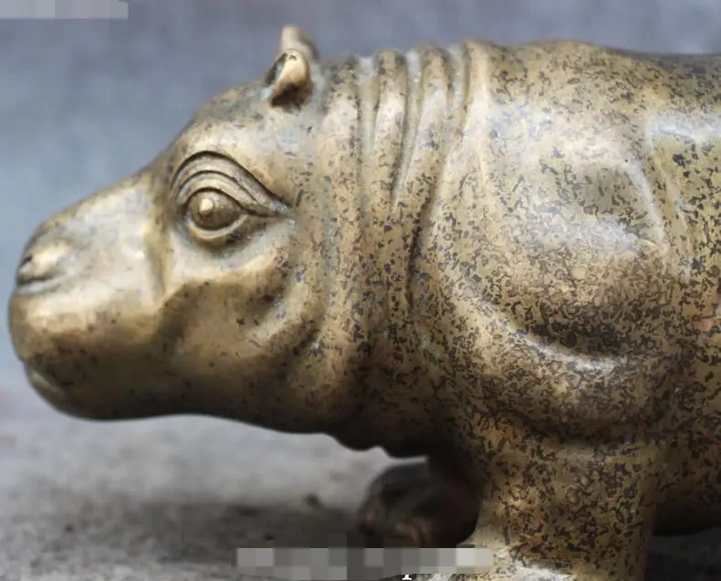 

10" Chinese Bronze Hippo Hhippopotamus Amphibius Hippos Behemoth Animal Statue