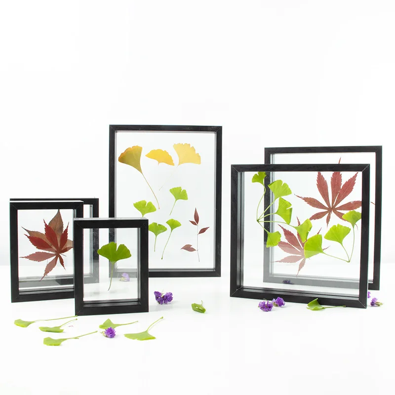 

European Style Plant Dried Flower Leaves Specimen Box Square A4 Paper-Cut DIY Frame Double-Sided Glass Frame Desktop Ornaments