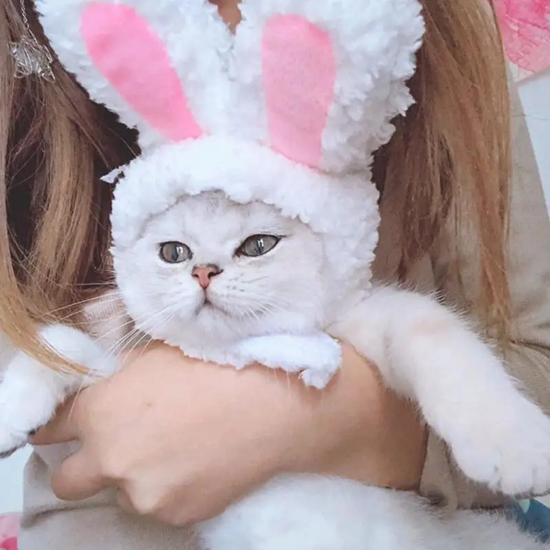 Кошка собака белый заячьи уши шапка для укладки ушей милая фотография товары