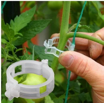 

DHL 500bag 50pcs/bag Tomato Garden Plant Support Clips garden ornaments for Greenhouse Tomato Plant Grafting Clips