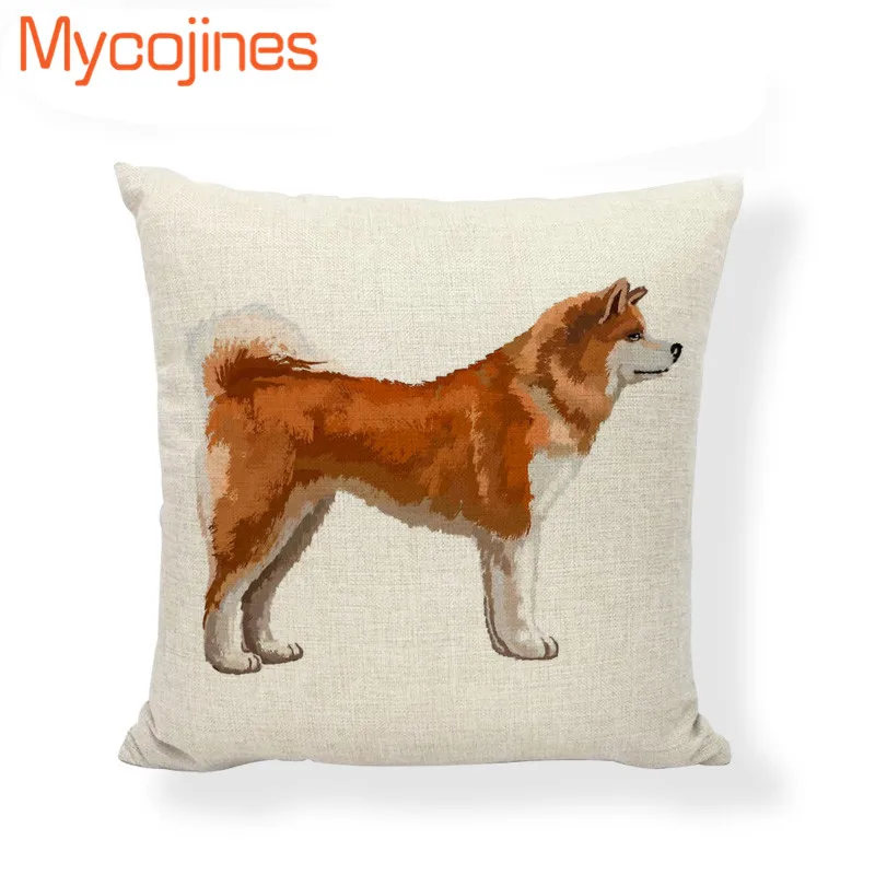 HTB15iErspkoBKNjSZFEq6zrEVXag