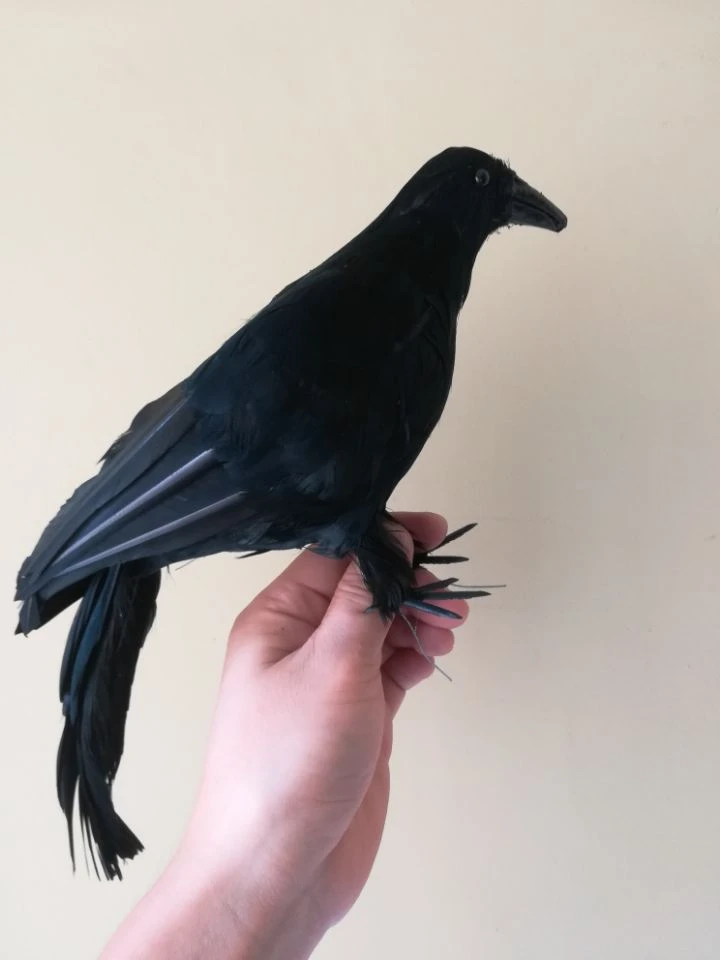 stuffed crow