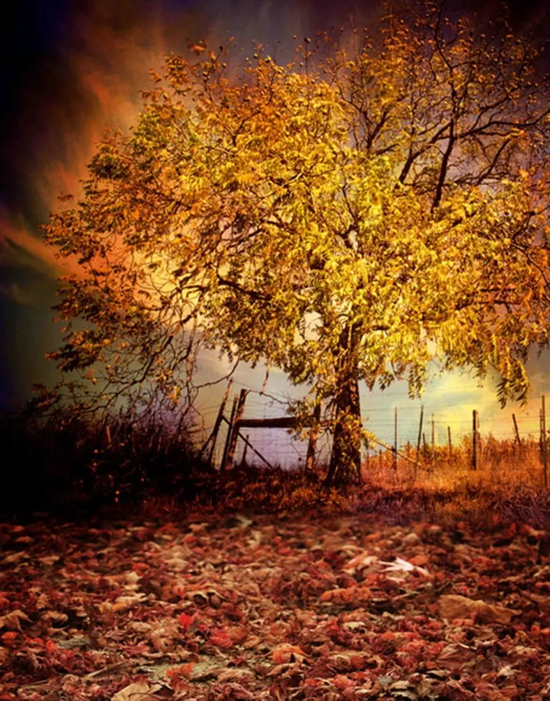 

5x7ft Autumn Fall Yellow Tree Photography Backdrops Photo Props Studio Background