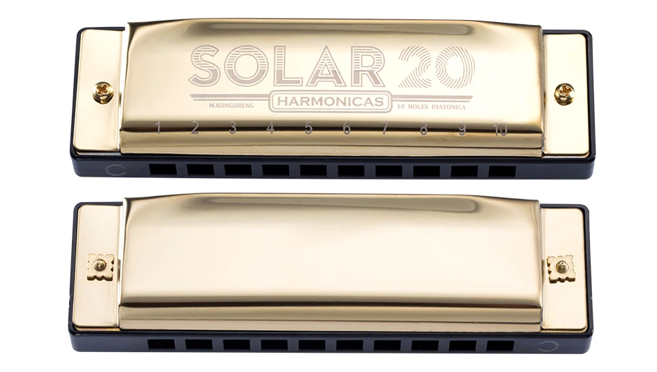 Armonica Diatonica A 10 Fori In Do - Strumento Musicale Per Blues E Folk - Foto 8
