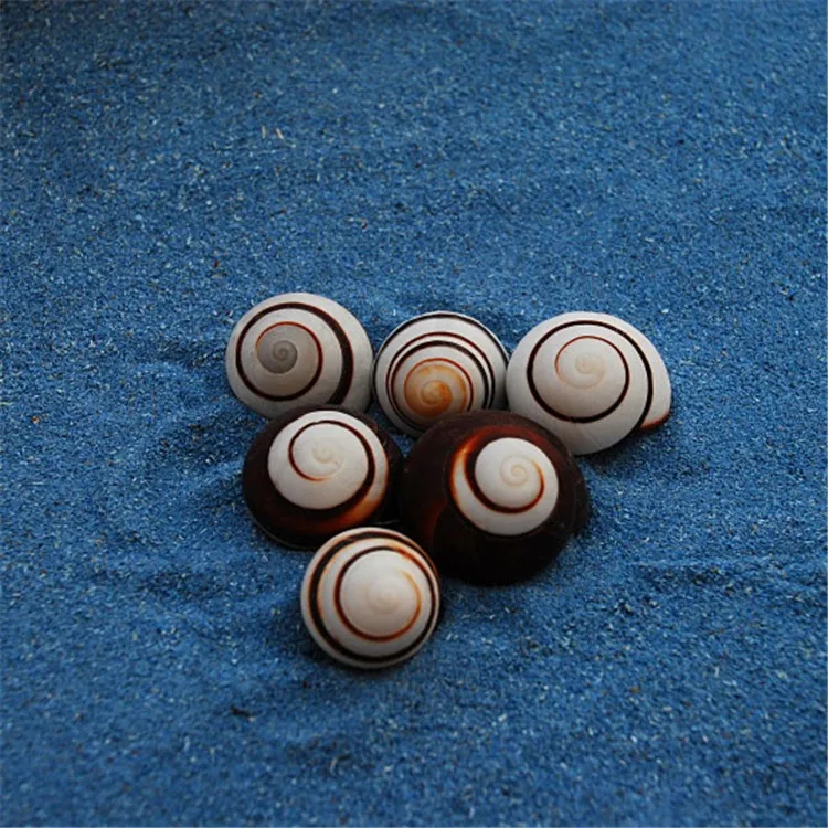 Brown bread screw06