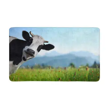 

Funny Cow on Green Meadow Looking to Camera Alps Anti-Slip Door Mat Home Decor Indoor Entrance Doormat inches Entryway Mat Decor