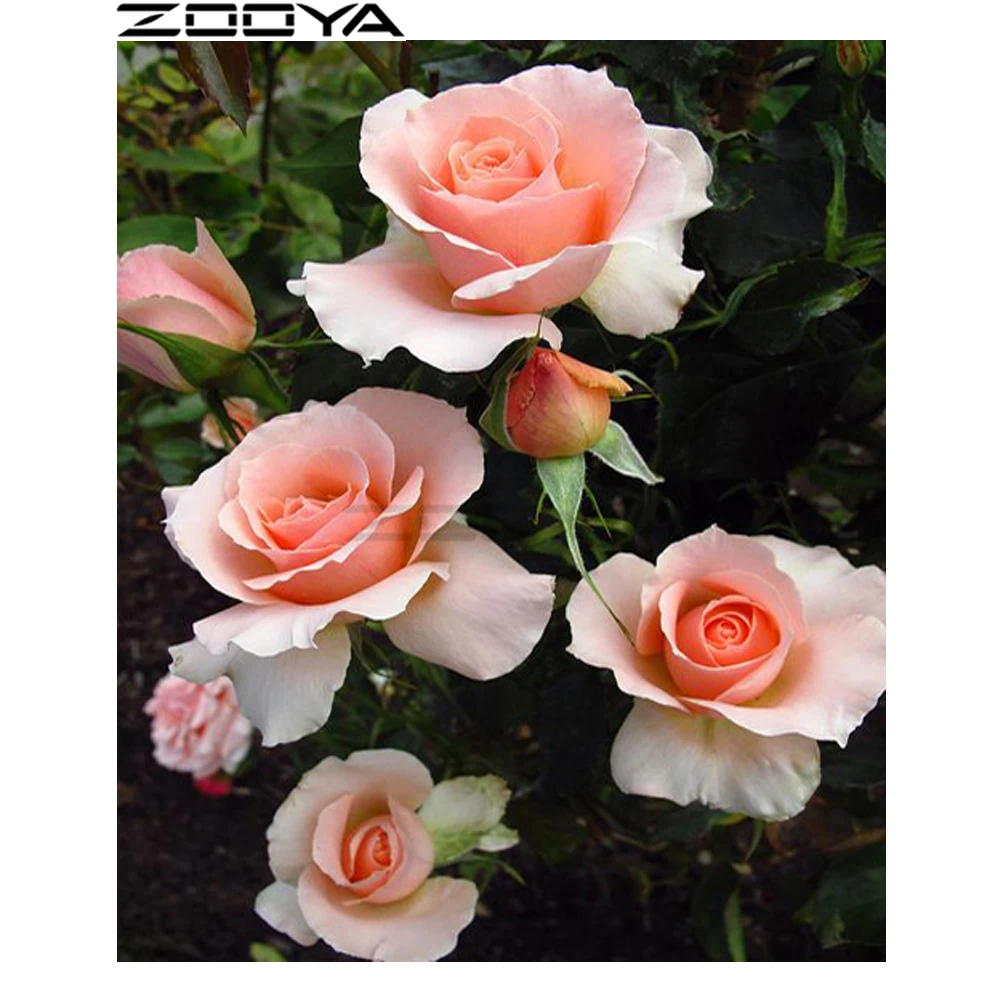 ZOOYA DIY картина полностью бриллиантами вышивка крестиком 3d бриллианты Набор для
