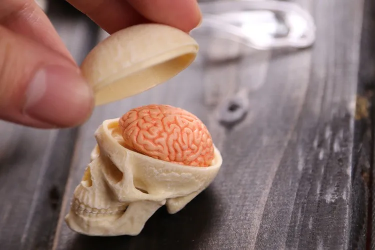 4D Master Аниме Собранная медицинская модель Череп Скелет Анатомия человека прозрачное тело анатомическая модель игрушки esqueleto humano