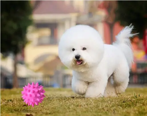 QQ20190412154001