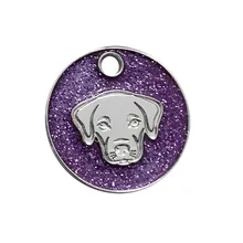 Персонализированные Жетоны для собак с гравировкой кошка, щенок, домашний питомец кличка подсветка-поводок для собаки аксессуары для домашних животных