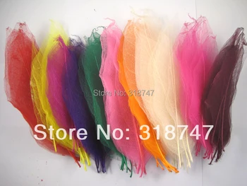 

Approx 8*22cm Randomly mixed colors Natural skeleton leaves for DIY 6pcs/24pcs C0709
