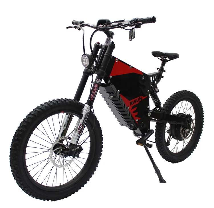 RisunMotor Exclusive Electric Bike Customized Front and Rear Suspension