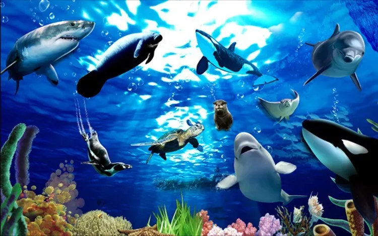 TB2KhK1apXXXXX9XXXXXXXXXXXX_!!2117801602_conew1