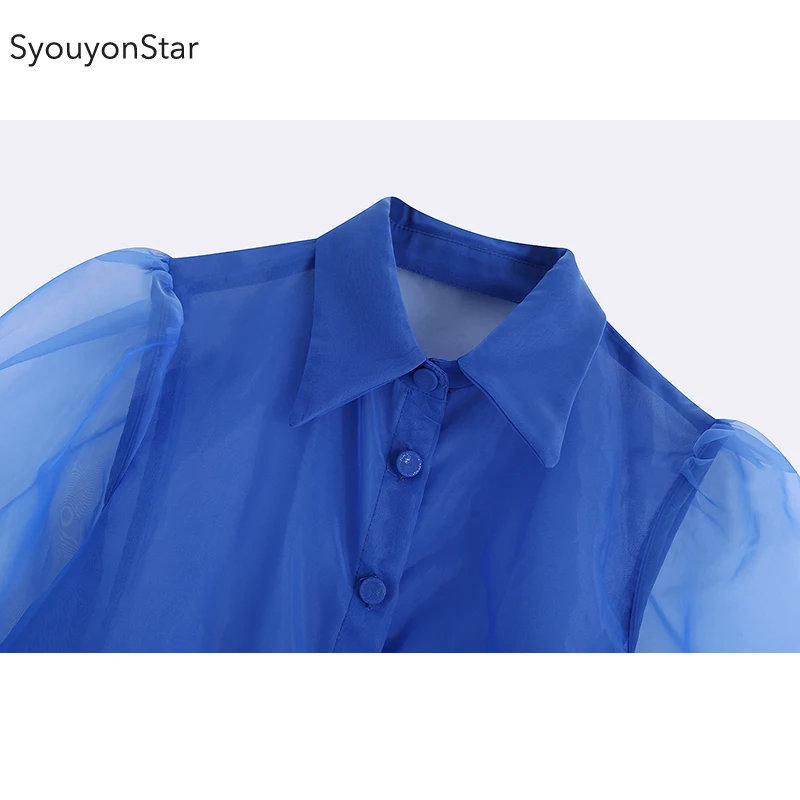 Голубая прозрачная сетчатая женская блузка с длинным рукавом souyonstar летняя