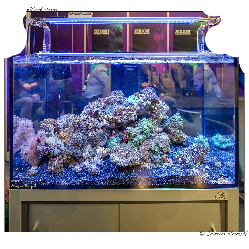 Светодиодный светильник Zetlight Lancia для пресной воды, Коралловая лампа для морского аквариума ZP 4000, лампа с полным спектром для морских коралловых рифов, лампа для растений