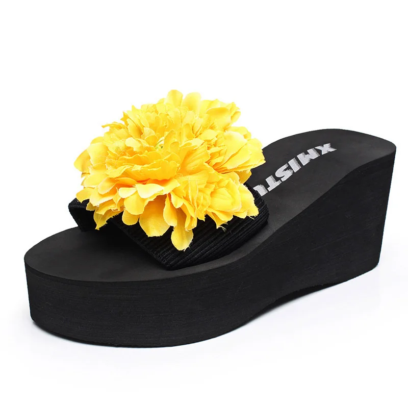 3500227733_2017169081