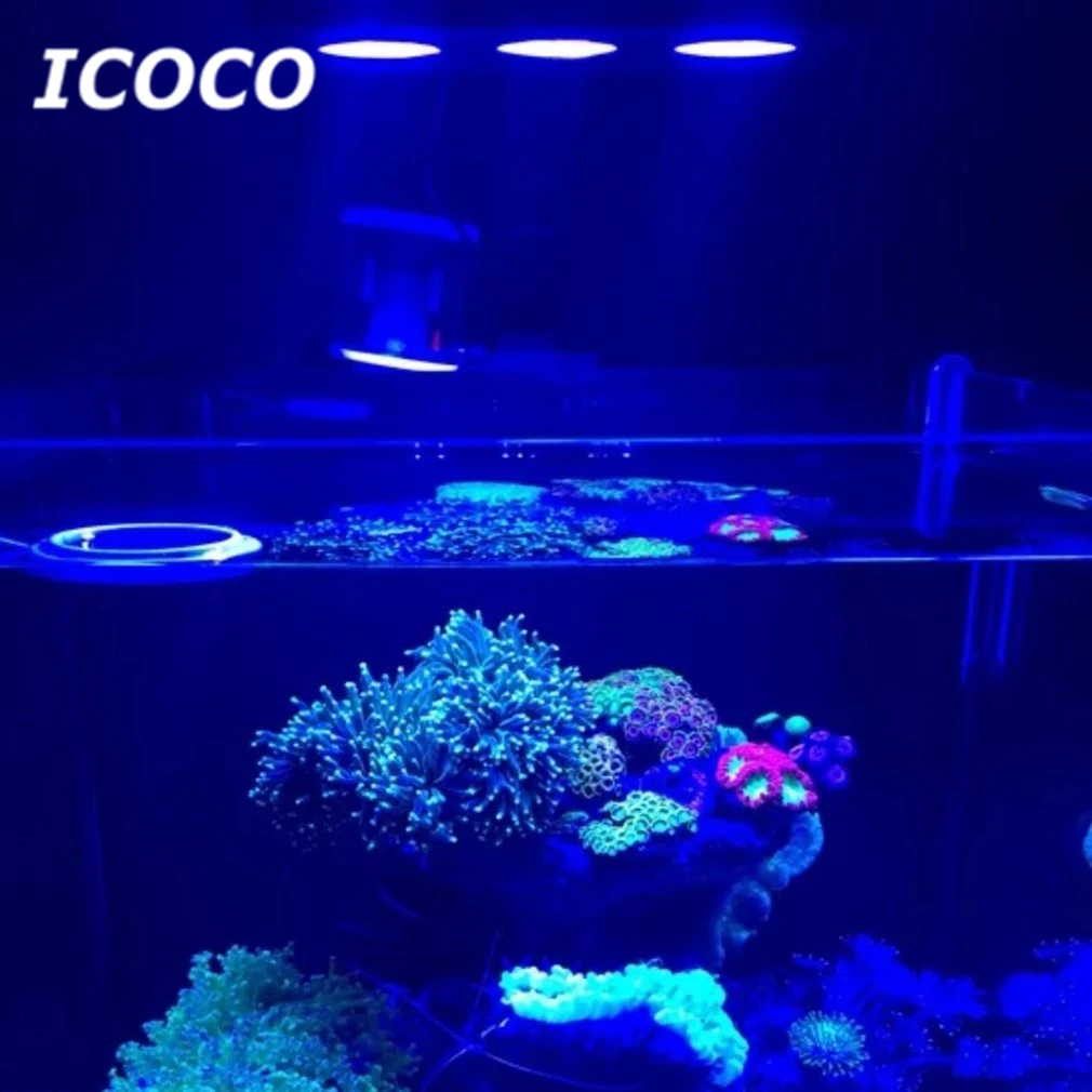 

ICOCO LED Aquarium Light 30W Indoor Aquarium LED Light Saltwater Lighting with Touch Control for Coral Reef Fish Tank