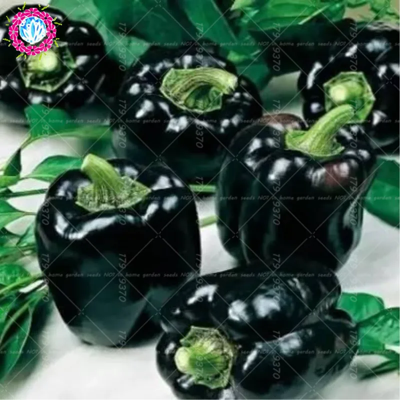 Чёрные перцы жёстко обслужили норки блондиночки