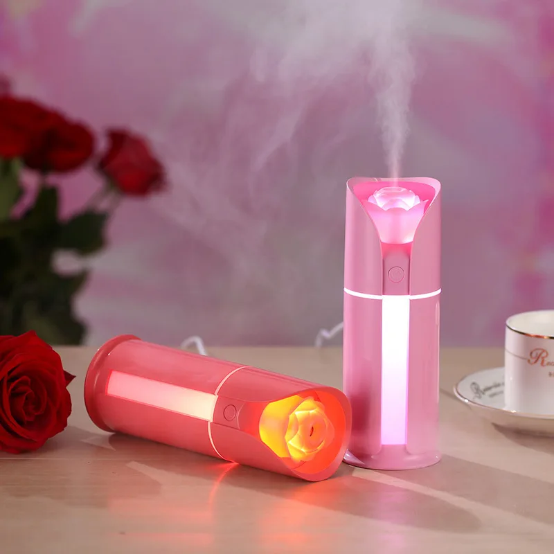 facial steamer2
