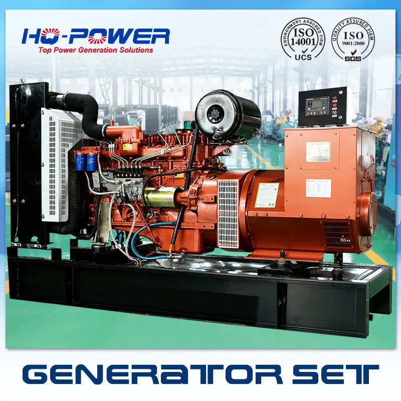200KVA Diesel Generator for emergency power supplyin Diesel Generators