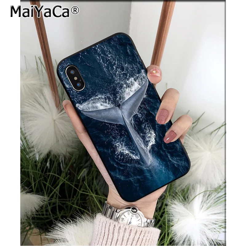 Ocean Whale Animal