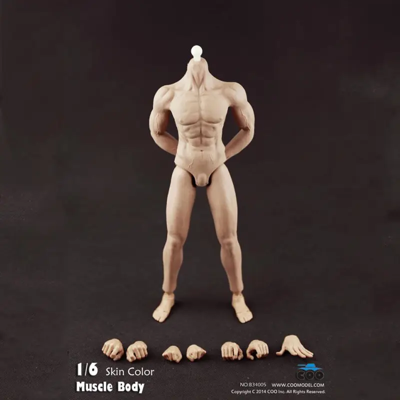 1/6 pack пластиковые мышечной все Тела НЕТ: B34005 COOMODEL | Игрушки и хобби