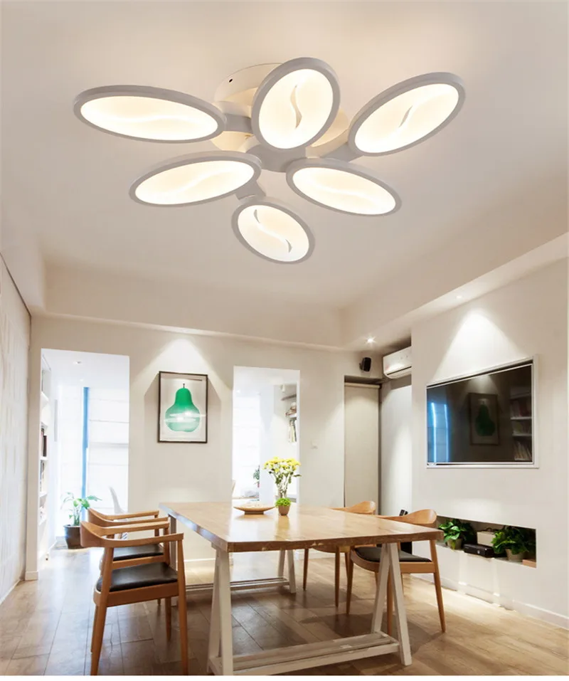 Post modern ceiling lamp (17)