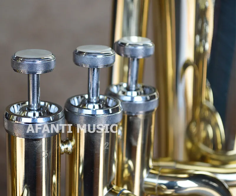 Afanti Music Bb tone / Yellow Brass / Gold Lacquer Baritone (BAR-123)
