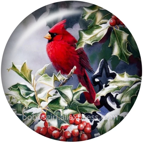 Cardinal Рождественская птица стеклянная кнопка оснастки ювелирные изделия DIY круглые фото Кабошоны с плоской обратной стороной DA1325 - Окраска металла: A7816
