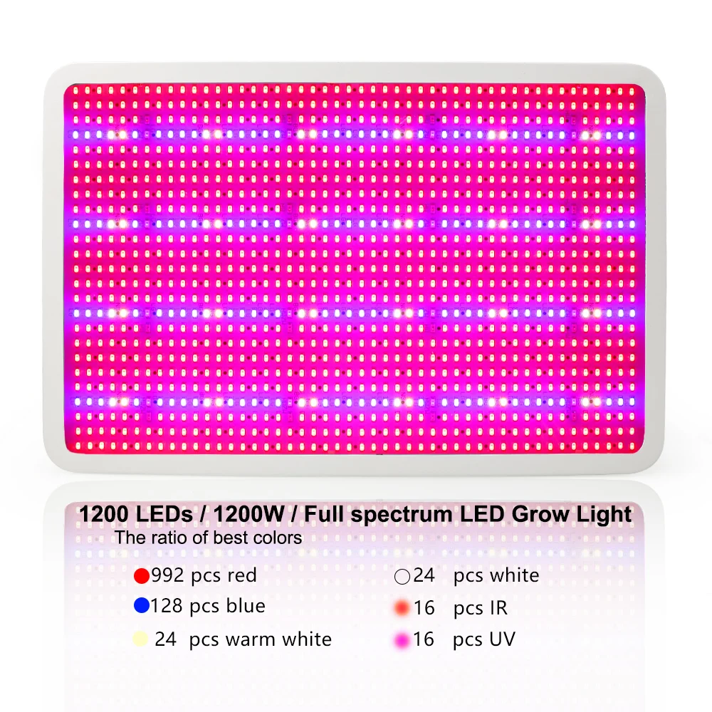 1200W 