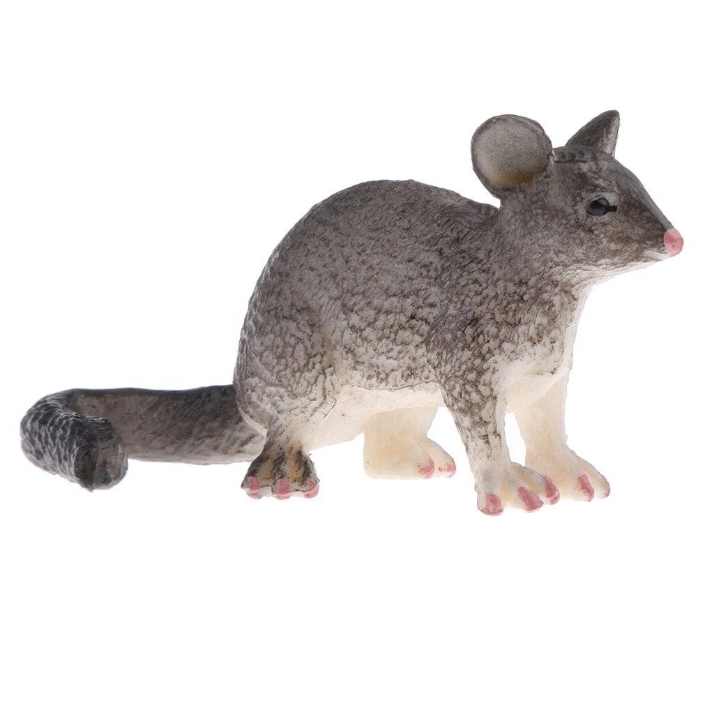 

Realistic PVC Wild Animal Possum Mouse Model Figurine Action Figures Playset Kids Educational Toy Collectibles Kids Toy