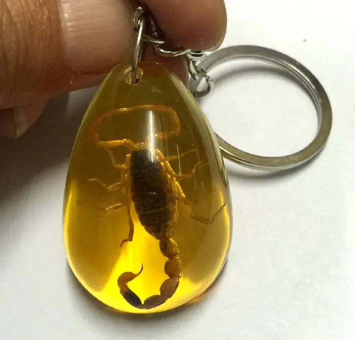 30 шт очаровательный золотой браслет с изображением скорпиона желтый брелок