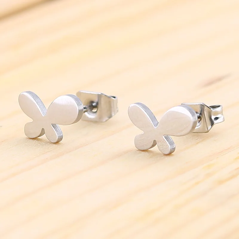 steel earrings