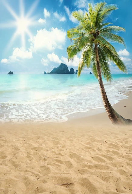 Huayi Beach Scenery Backgrounds Photo Backdrop Wedding Drop Fabric Huayi Beach Scenery Backgrounds Photo Backdrop Wedding Drop Fabric Newborn Photography Backdrops For Studio Xt