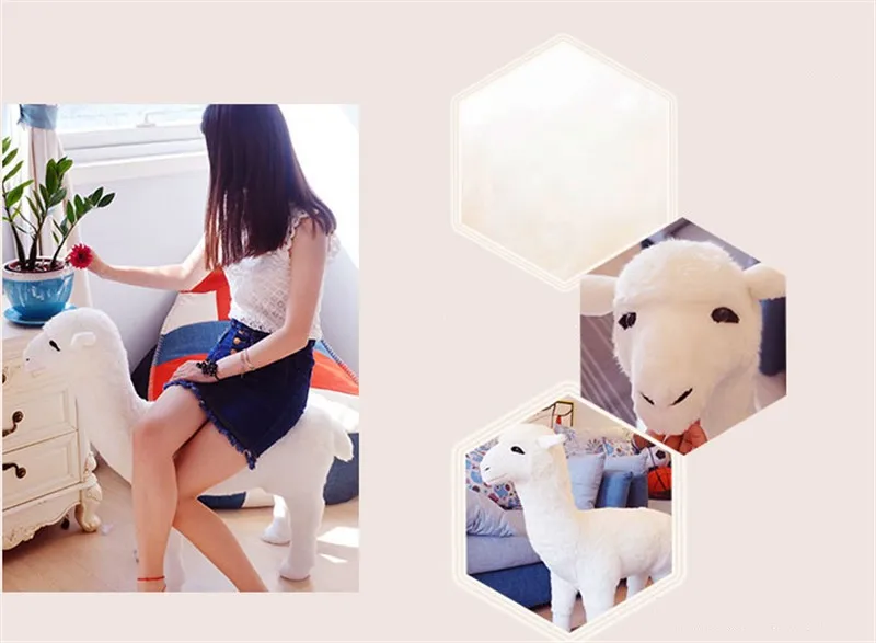 alpaca11