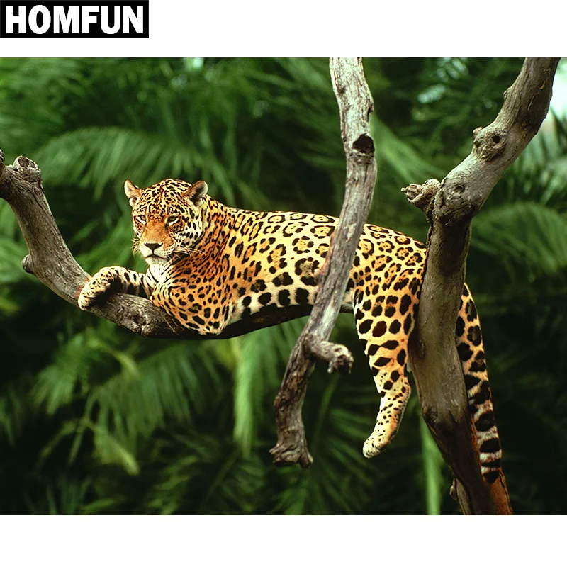 Leopard Forest