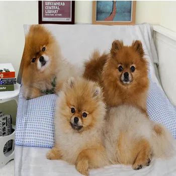 

Blanket Comfort Warmth Soft Plush Easy Care Machine Wash Funny Pomeranian Comfy Sofa Bed Throw Kid Adult Warm Blanket