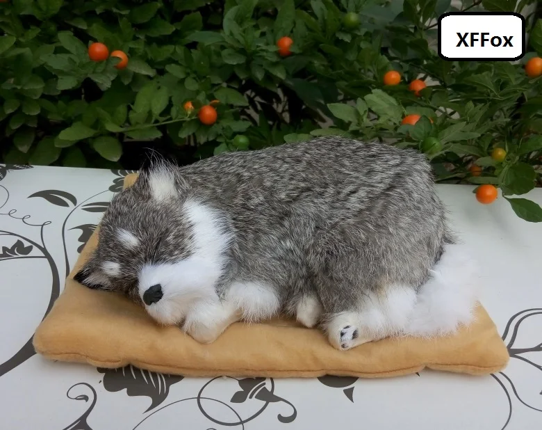 HTB1gjPFPFXXXXXSaXXXq6xXFXXXe