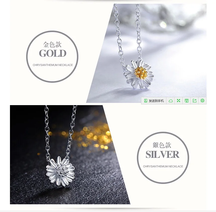 2081572539_353563269