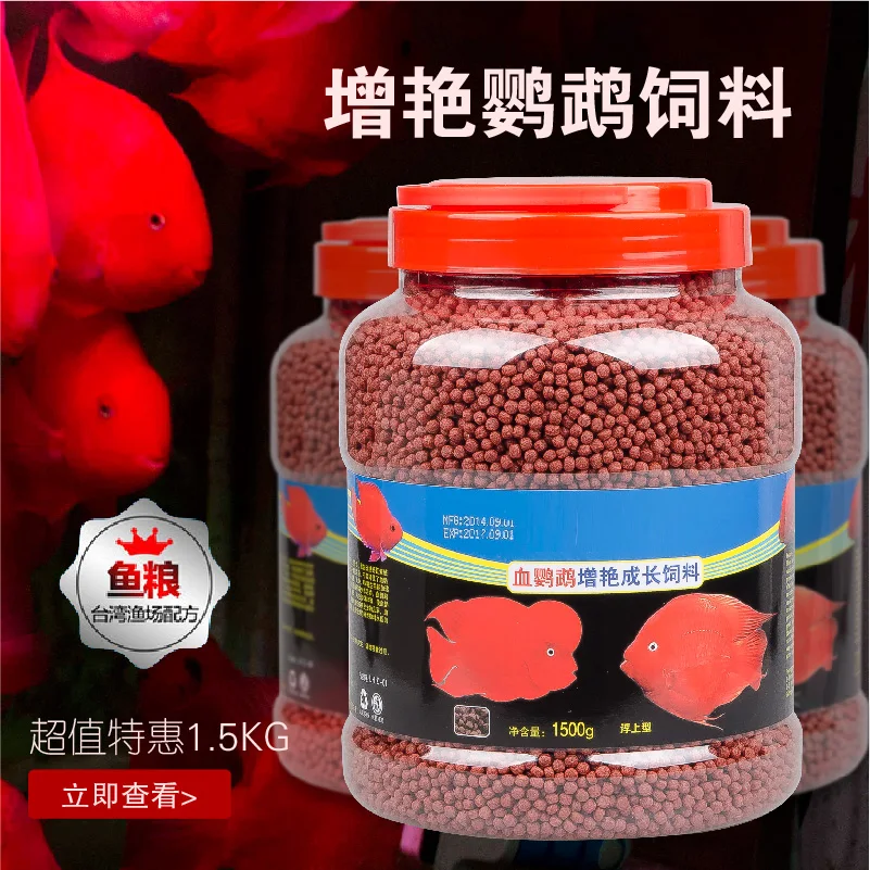 The parrot fish feed by red blood parrot fish feed rich hyperchromic