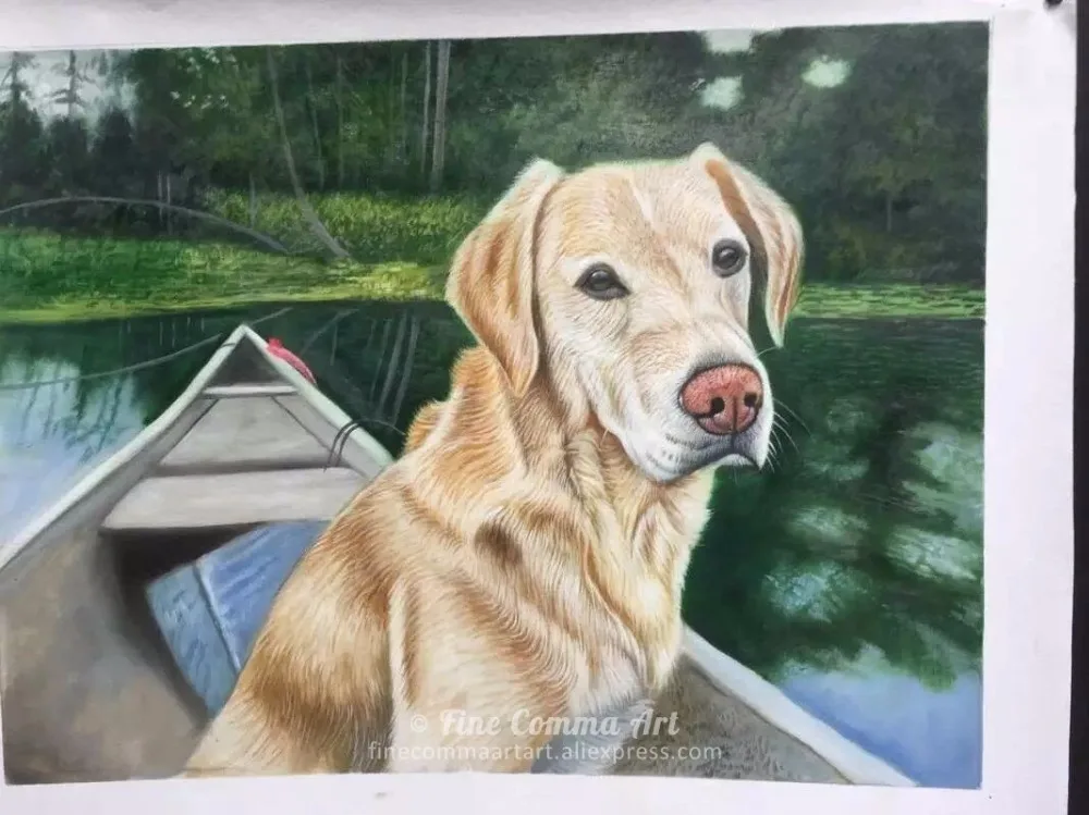Dog_8